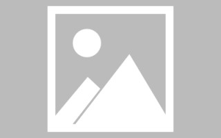 盘锦网页设计英文默认字体（网页设置英文转换中文）